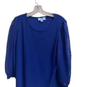 3/4 Sheer Sleeve Cece Top.  Preloved one time for a play.  Beautiful blue.